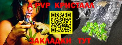 кокс Кудрово